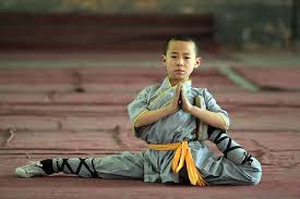 Sejarah dan Perkembangan Pendidikan Kungfu di Indonesia